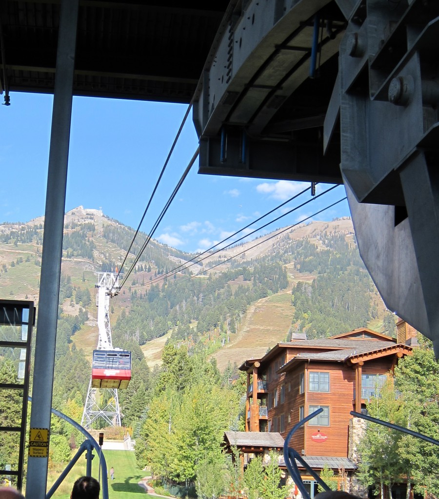 The Tram and Ski Resort summit