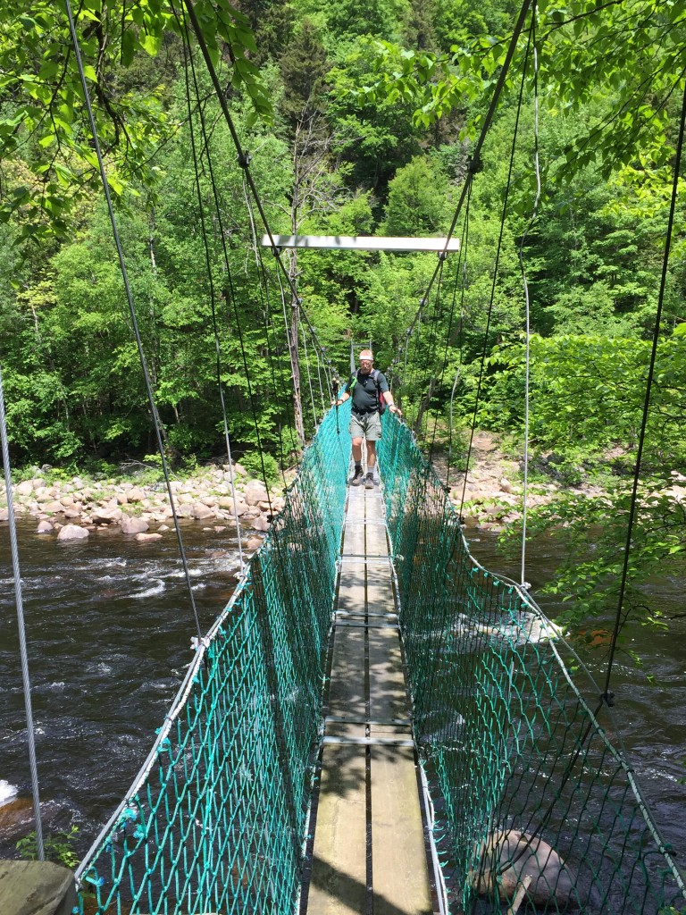 Thankfully, a sturdy suspension bridge to cross the river!