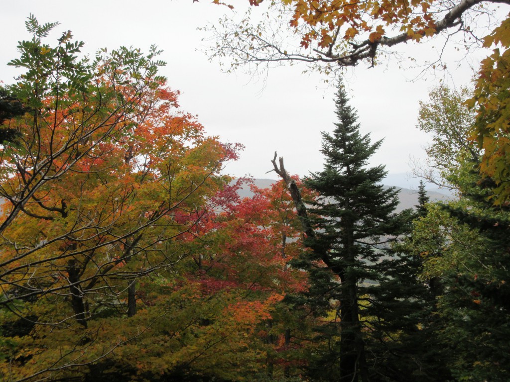 Glimpse of the foliage and the views from the trail
