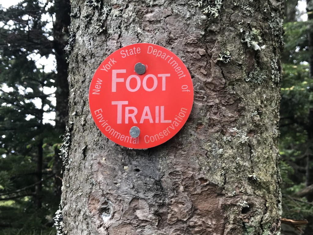 Trail markings